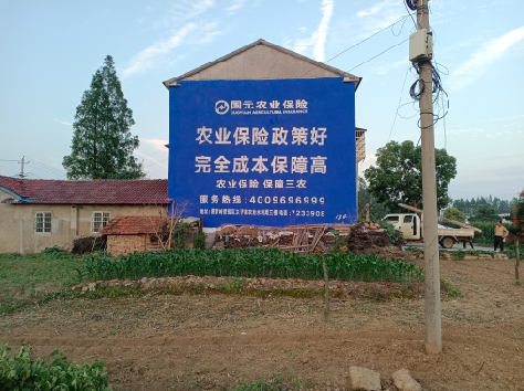  普格墙体广告的优劣势你知道吗？