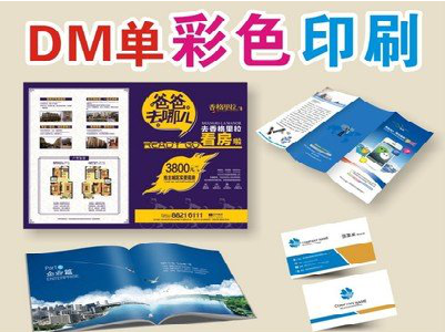  普格单页印刷，色彩搭配简单。